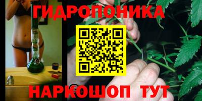 прущие крисы Тара