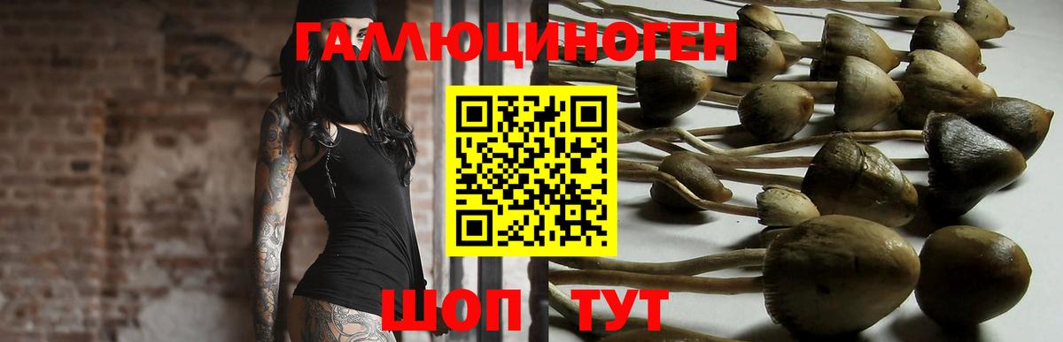 Галлюциногенные грибы MAGIC MUSHROOMS  Галлюциногенные грибы MAGIC MUSHROOMS  Вход с VPN  Оренбург 